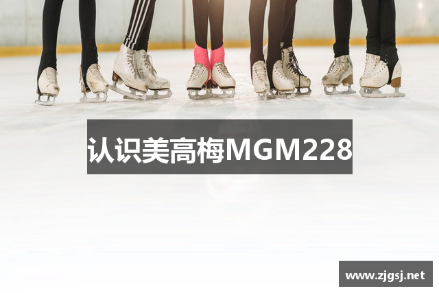认识美高梅MGM228